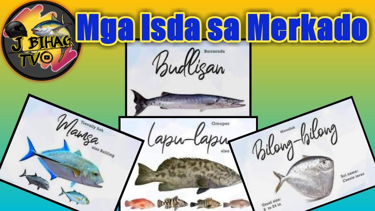 Putar video Mga Isda sa Merkado | mga ibat ibang pangalan ng isda na makikita sa Market at Fishport sekarang Mga Isda sa Merkado | mga ibat ibang pangalan ng isda na makikita sa Market at Fishport