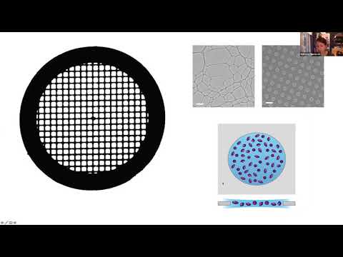 iNEXT-Discovery Webinars: cryo-EM, from sample to structure