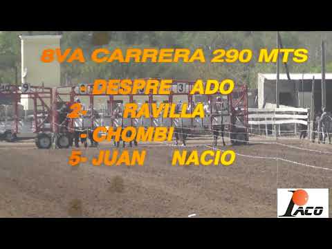 DESPRECIADO HIPODROMO DON SOHAR CRUZ DEL EJE 28 08 2022
