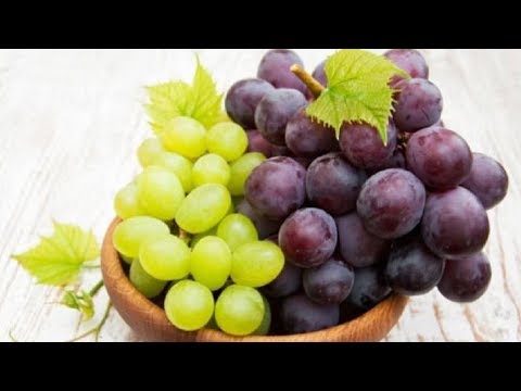 , title : '✅ Τα 5 καλύτερα φρούτα για υγιή νεφρά και συκώτι'