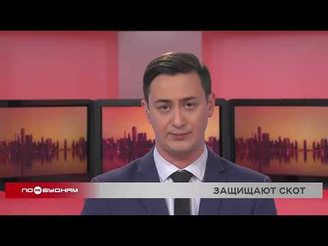 Новости ПО БУДНЯМ 26.03.2026