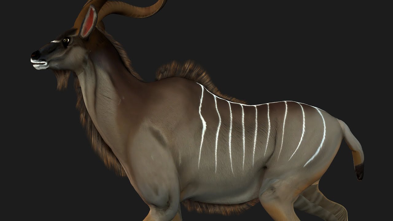 Kudu 3D Modell