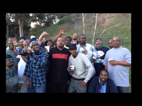 THE HOMIES - CARTE BLANCHE -