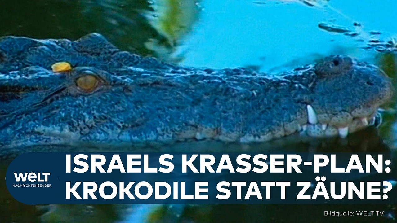NACH TRUMP-VORBILD: Krokodil-Gefängnis? Israel plant umstrittenen Gefängnis-Vorstoß