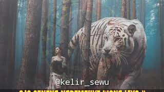 Download lagu Story wa jowo ||~ ojo seneng ngremehke wong liyo!!! mp3