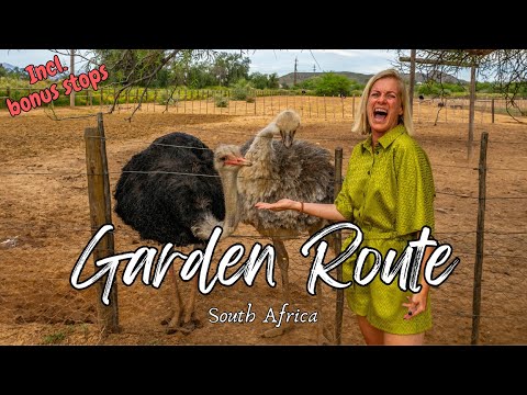 How to travel SOUTH AFRICA'S GARDEN ROUTE - BEST THINGS TO DO in 6 days, 4K travel vlog