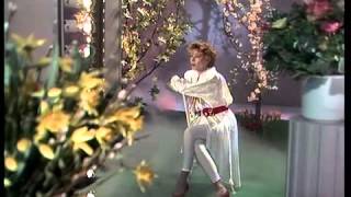 Conny Vandenbos   Nooit meer