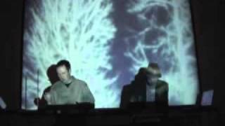Duet for Theremin and Lap Steel Zeitgeist Gallery 2010 part 2.mp4