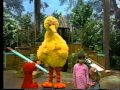 Sesame Street Playing Scientist