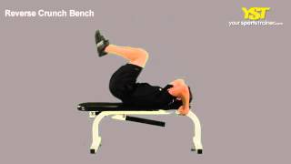 Bench Reverse Crunch exercise video thumbnail