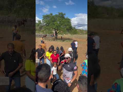 Fazenda maquine chorrochó Bahia #vaquejada #cavalo #nordeste ￼￼