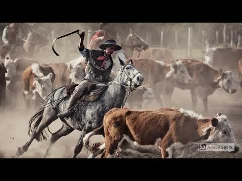 ContraPonto - Cristiano Quevedo - Músicas Gaúchas mais Conhecidas - Músicas Para Churrasco