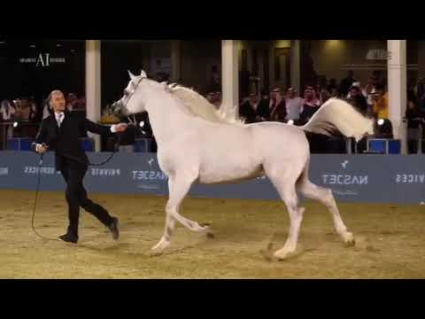 E S HARIR اي اس حرير