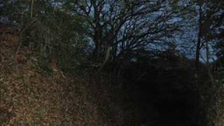 Leopold Staff - deszcz jesienny