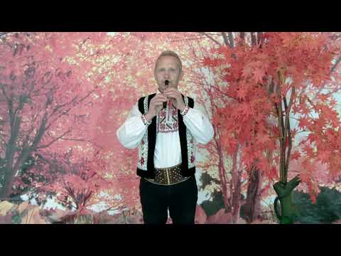 Dumitru Donoagă - Suita la caval și fluier