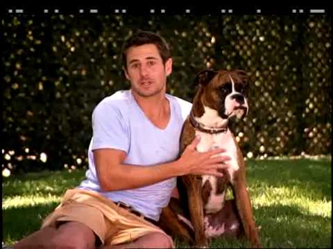 GREATEST AMERICAN DOG