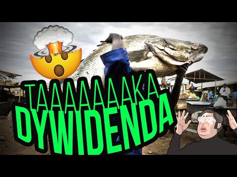 Dywidenda taka, że pół spółki pójdzie się... ✂️  Urząd Skarbowy lubi to 👍