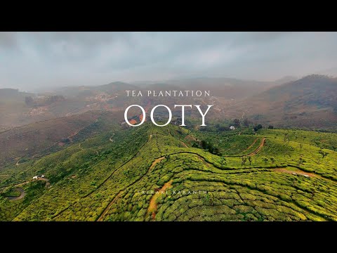 This One Shot FPV Through Ooty’s Tea Gardens Is Unreal!
