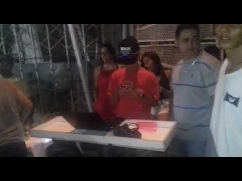 Swing massa - Adestrador de cadela ao vivo