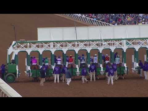 2017 Longines Breeders' Cup Distaff - All Angles Replay