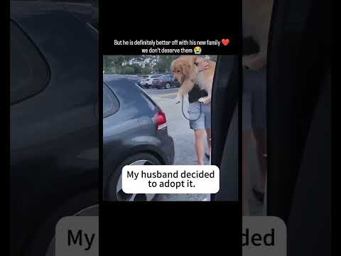 But he is definitely better off with his new family we don't deserve them 🥺❤️‍🩹