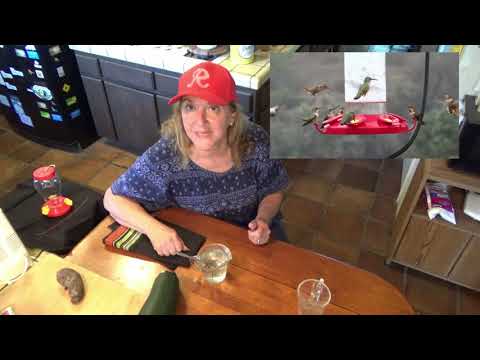 How to Make Hummingbird Nectar AND Tips to Attract Hummingbirds to Your Hummingbird Feeder