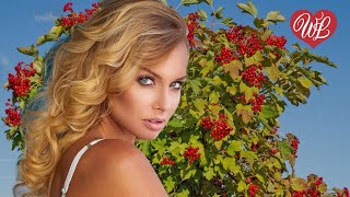 ЗАПРЕТНАЯ ЛЮБОВЬ ♥ КРАСИВЫЕ ПЕСНИ ПРО ЛЮБОВЬ WLV ♥ МУЗЫКА ЛЮБВИ ♥ LOVE STORY ♫ RUSSISCHE MUSIK