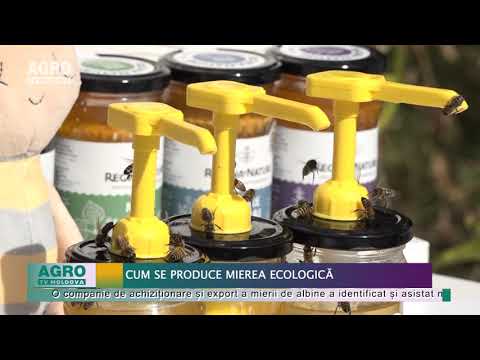 Cum se produce mierea ecologică – AGRO TV News