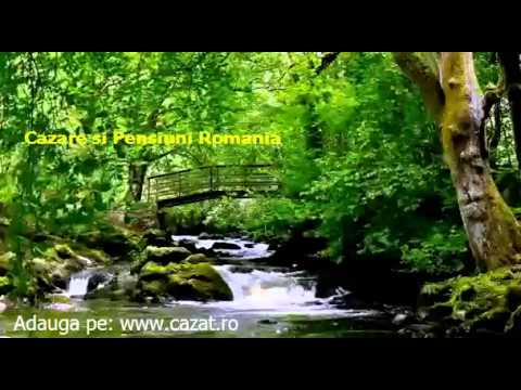 Cazare Gavojdia, Timis - Cazat.ro