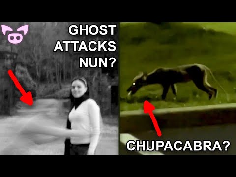 Watch Scary Videos LIVE! Ghosts, Cryptids, Shadow Figures and More!