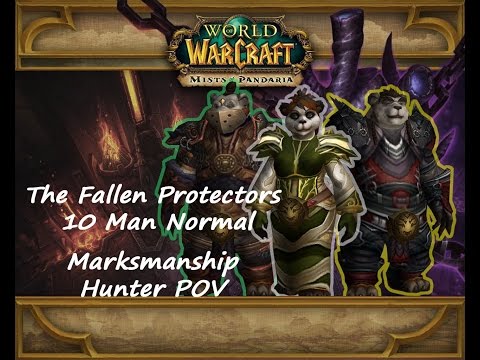 Final Ascension vs The Fallen Protectors 10 Man Normal- Marksmanship Hunter POV