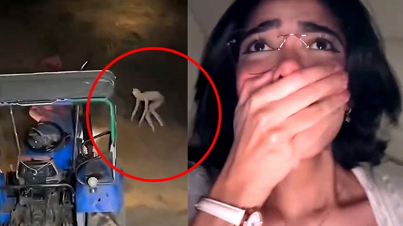 Fenomenele Paranormale Continua Sa Se Intample