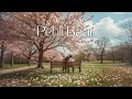 Pehli Baar Official Lyrical Video Priyanshu Bhartiya BAD Junkie Hindi Romantic Song 2025