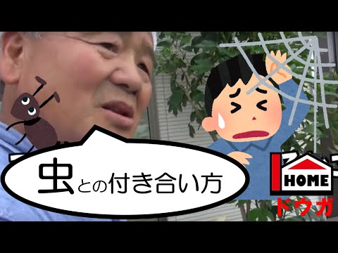 園芸 庭のダニとの戦い