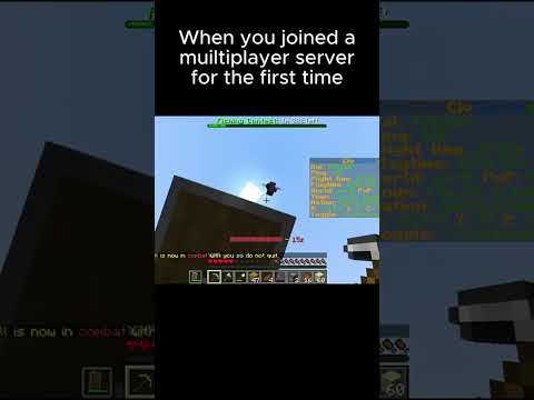 Mind-blowing! My First Time on a Minecraft Server