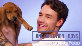 Download lagu I was busy thinking about One Direction boys (Charli xcx Boys) mp3