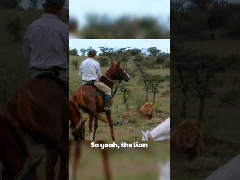 Why Don’t Lions Attack These Horses? 🐎 #shorts