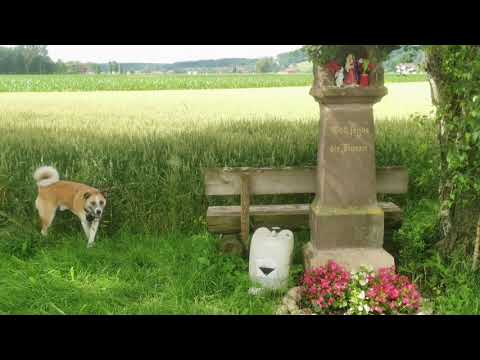 Tag 315, Buchloe - Irsee, Langstreckenwanderung um die Welt