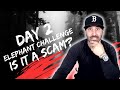 PACE MORBY ELEPHANT CHALLENGE | Is it a scam?