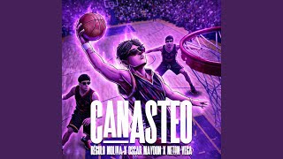 Cover art for Cnasteo