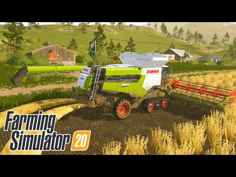 HARVESTING, PLANTING, SELLING SOYBEAN | Farming Simulator 20 | fs 20 | Timelapse