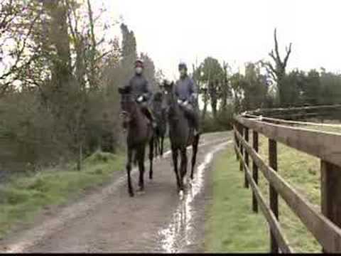 Colm Murphy - Behind the scenes with Brave Inca