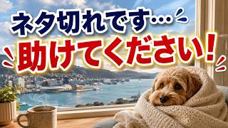動画のネタ切れです…ニュージーランド生活のどんな話が聞きたいですか？コメントで教えてください