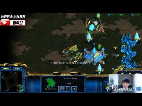 Stork's PvZ 2 gate guide