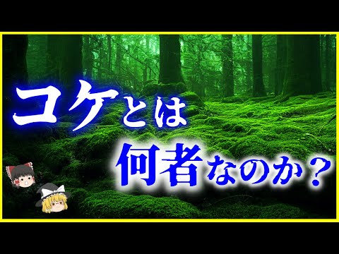 ミスゴラスについて詳しく解説