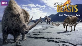 Walking With Beasts, Look Through My Eyes