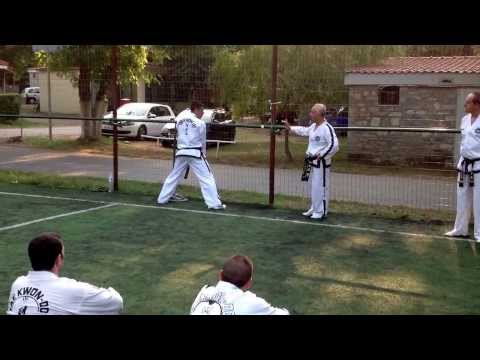 Master Vasilis Alexandris - Teaching side kick