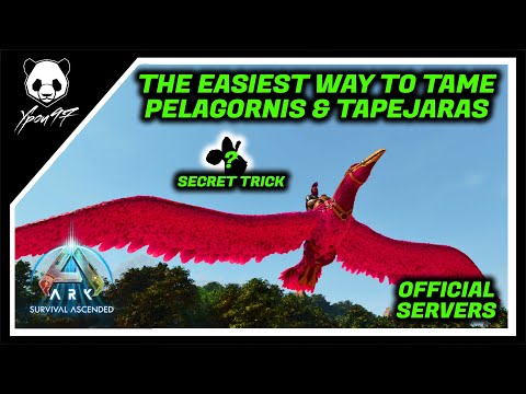The EASIEST Way To Tame Pelagornis & Tapejaras - Secret Trick | ARK: Survival Ascended