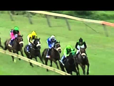 BYERLEY TURK (Grade 3) 2013