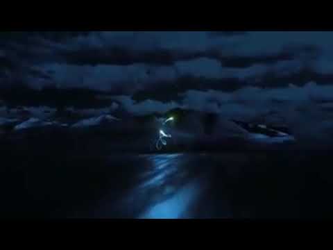 ROMANE NASIHATORE 2018 BY FAYO